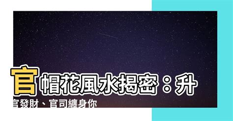 官帽花風水|【風水 官帽】避開官帽煞，風生水起官途平步青雲！ – 每日新聞。